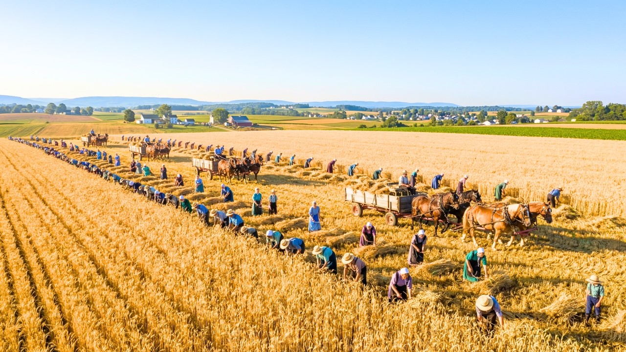 Amish farming film